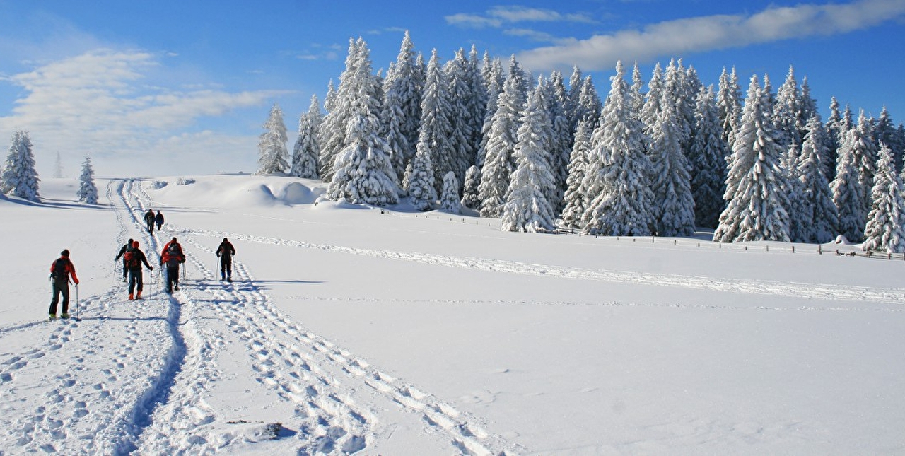 Groupe de personnes effectuant une randonnée en raquettes dans la neige en montagne