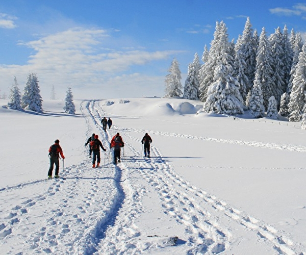 Groupe de personnes effectuant une randonnée en raquettes dans la neige en montagne