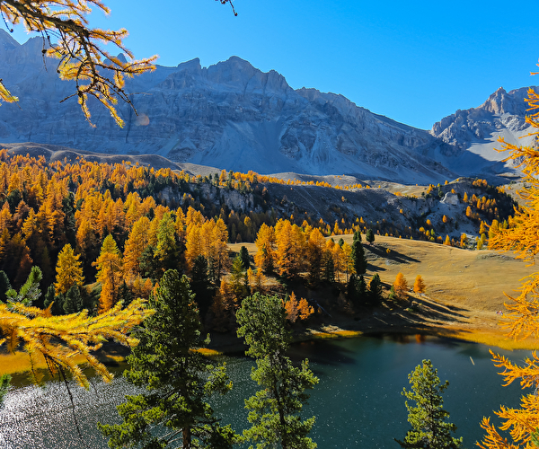 Paysage de montagne aux couleurs d'automne