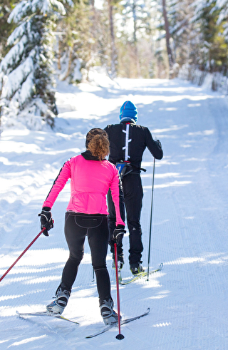 Un homme et une femme pratiquant le ski de fond dans la foret du Lac Blanc dans les Vosges
