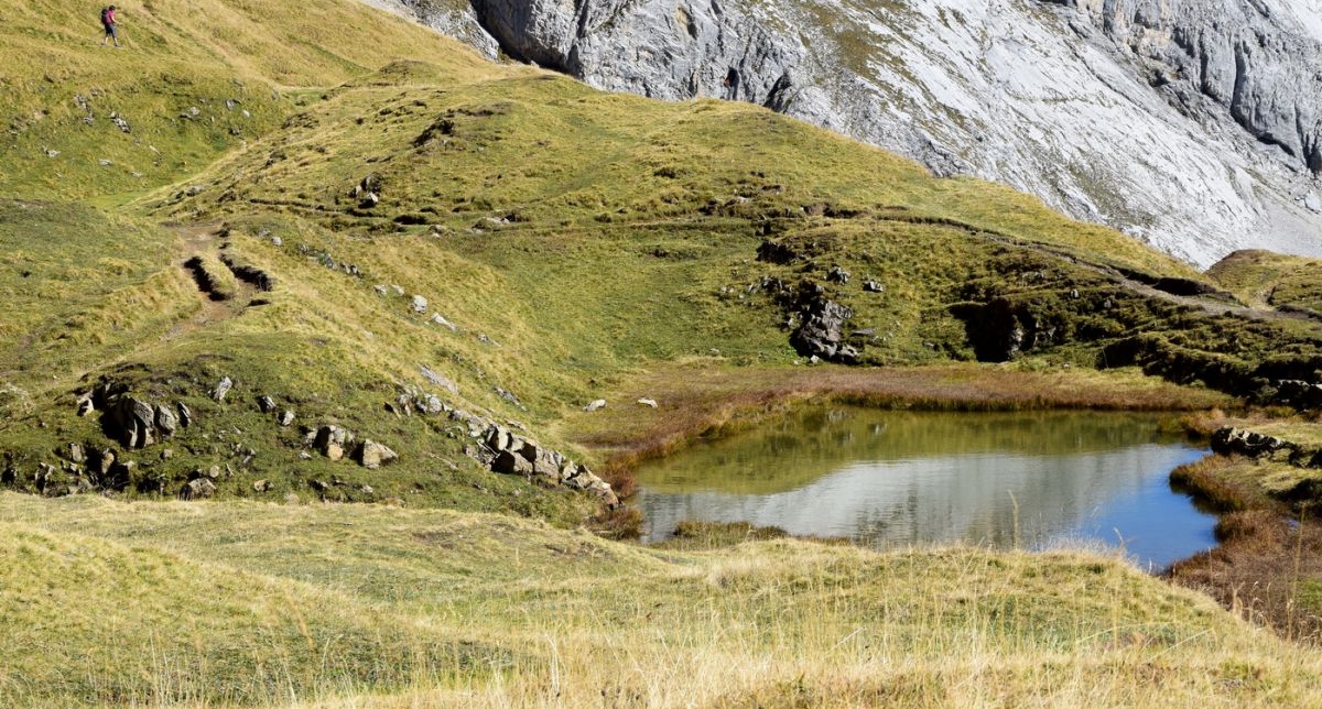 Vue sur un lac de montagne entouré de verdure à l'automne