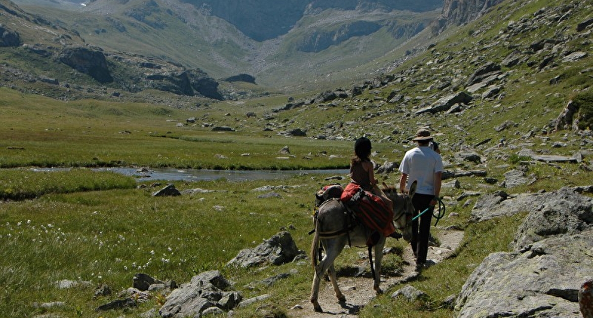 Groupe de personnes effectuant une randonnée en montagne sur un chemin accompagné par un âne monté par un enfant