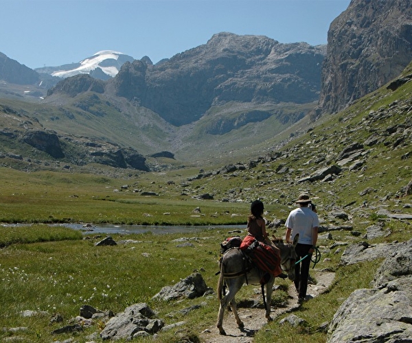 Groupe de personnes effectuant une randonnée en montagne sur un chemin accompagné par un âne monté par un enfant