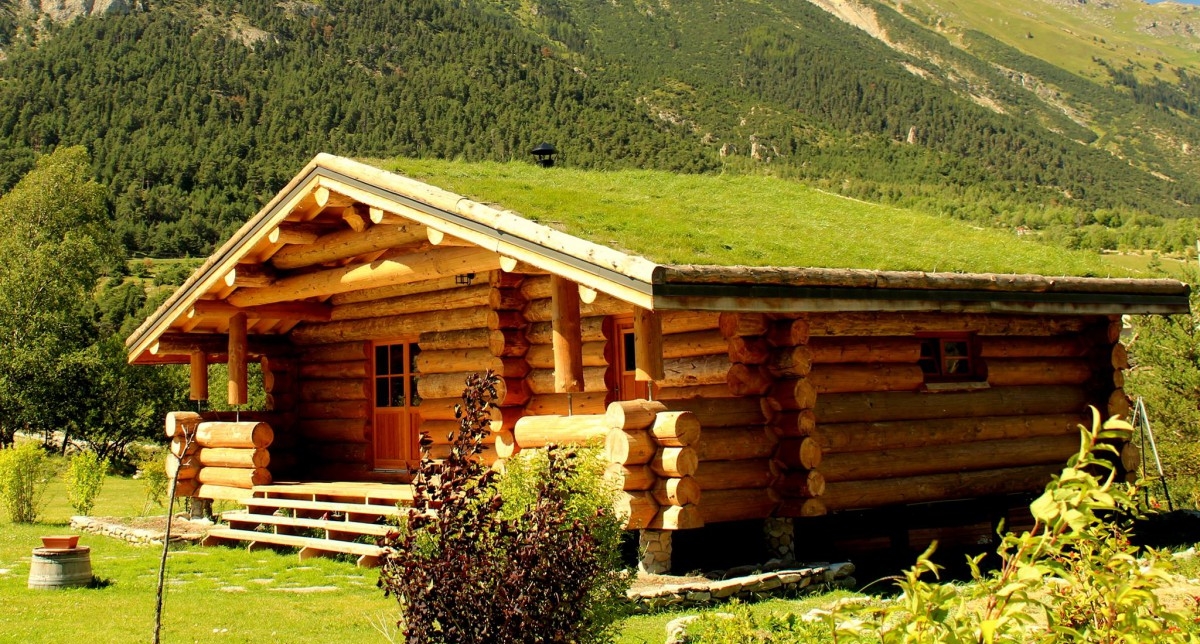 Vue sur une cabane réalisée avec des rondins de bois en pleine nature et entourée d'une forêt de sapins près des montagnes l'été