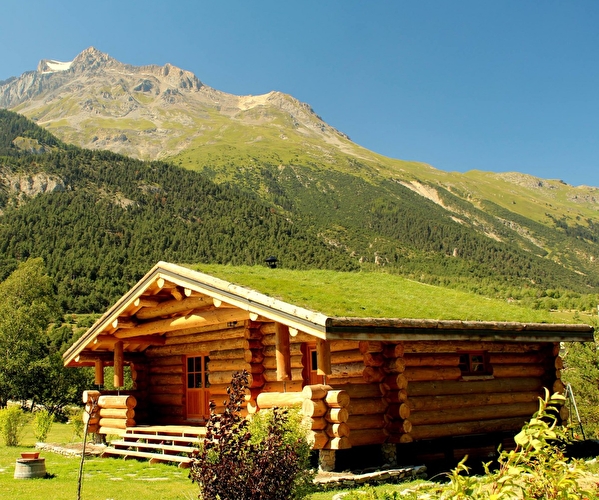 Vue sur une cabane réalisée avec des rondins de bois en pleine nature et entourée d'une forêt de sapins près des montagnes l'été