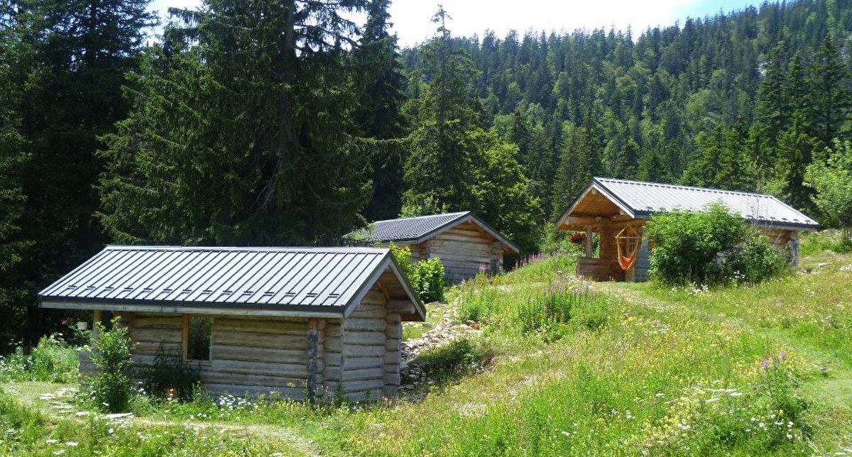 Vue sur 3 chalets postés en pleine nature près d'une forêt de sapins