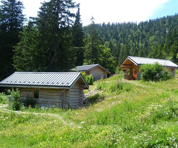 Vue sur 3 chalets postés en pleine nature près d'une forêt de sapins