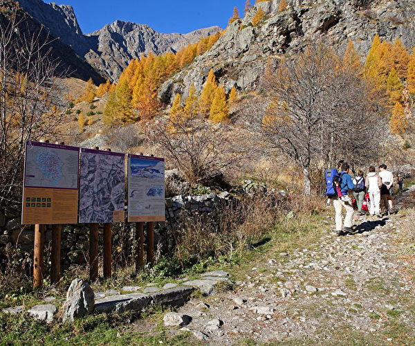 Equipée de personnes randonnant sur un chemin à travers les montagnes et les arbres