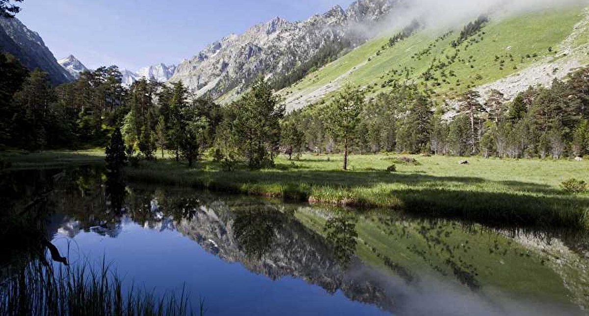 Vue sur un lac entouré d'arbres et de sapins face aux montagnes l'été