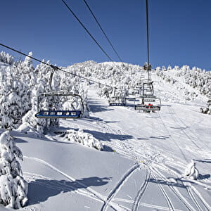 Télésièges au dessus des pistes avec sapins enneigés