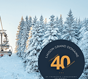 Liaison par télésiège au dessus des pistes et des sapins enneigés