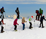 Randonnée raquettes découverte panorama