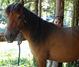 Mini stage poney : une matinée sur le Vercors