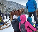 Balade en calèche