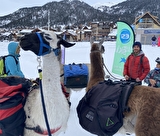 randonnée raquette et Lama