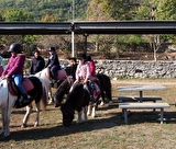 Location de poney à Sassenage