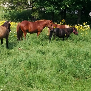 Ecuries de Corrençon