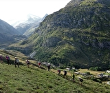 Randonnées, treks et trail avec Estelle