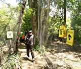 Paintball et laser game
