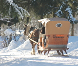 Balade en traîneau à cheval