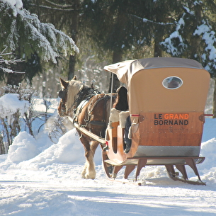Traîneau à cheval au Grand-Bornand - Les attelages de la flèche blonde