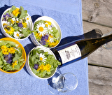 Randonnée De la nature à l'assiette, la flore autrement