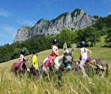 Randonnée avec des ânes