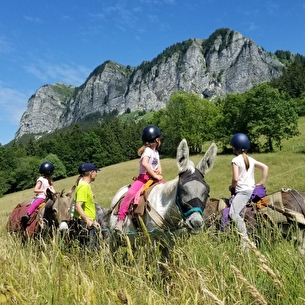 La Ferme des Genti'Ânes