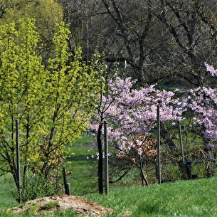 la balastière