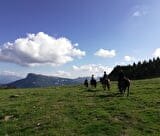 Balade à cheval sur le plateau du Vercors