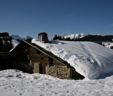 Immersion panoramique dans les alpages