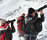 Safari photo - Pralognan-la-Vanoise