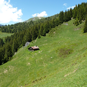 Alpage des Aravis