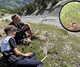 Découverte des marmottes