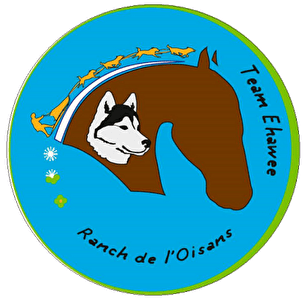 Animations autour des chiens de traîneaux - Été