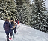La faune en hiver à Thollon-les-Mémises