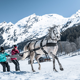 Initiation au Ski joëring - tous niveaux