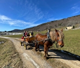 Balade en calèche