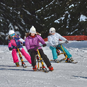 Le Skibob dans le Val d'Arly