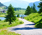 P1255933