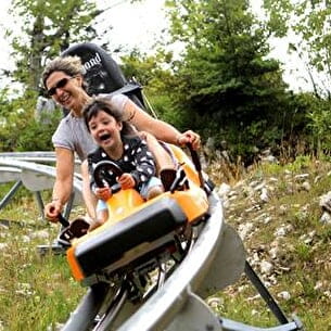 luge_web