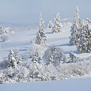 STATANMSM2V500956 - champ du feu neige 029