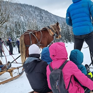 luge attelée