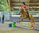 Cours et stages au Centre équestre du Haras du Vercors