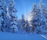 Aventure Grand Nord et repas trappeur