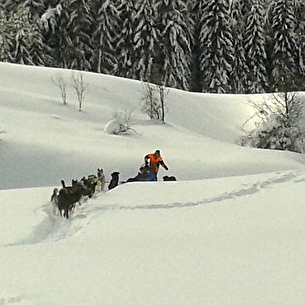 20150205_124649