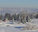 STATANMSM2V500956 - champ du feu neige 034