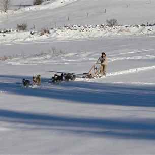 Aventure nordique en cani nocturne