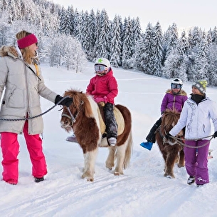 Balade à poney sur neige