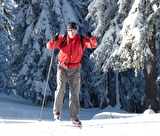 Randonnées pédestres / raquettes / ski-hok avec Anne-Marie